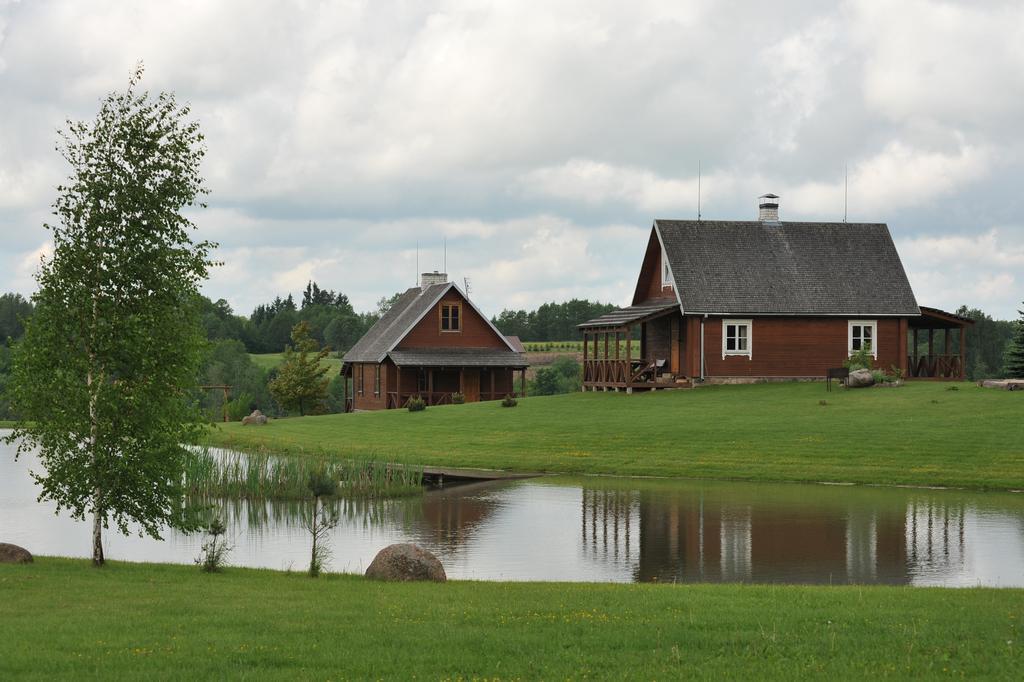 Country Houses Vidu Sodyba Pension Utena Buitenkant foto