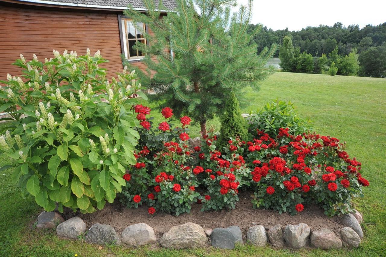 Country Houses Vidu Sodyba Pension Utena Kamer foto